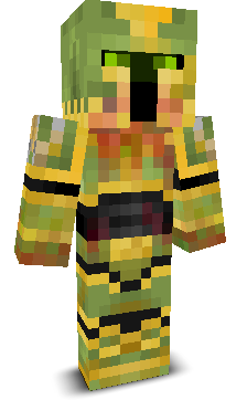 User's Minecraft appearance