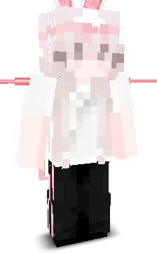 User's Minecraft appearance