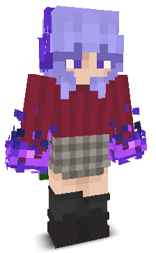 User's Minecraft appearance