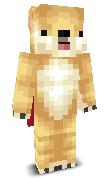 User's Minecraft appearance