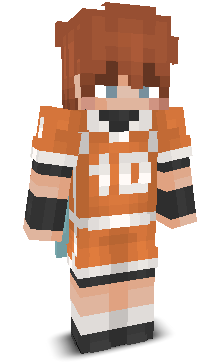 User's Minecraft appearance