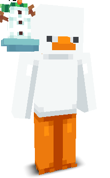 User's Minecraft appearance
