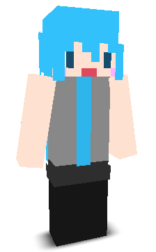 User's Minecraft appearance