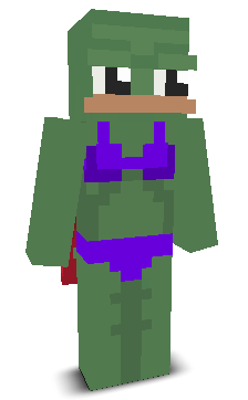 User's Minecraft appearance