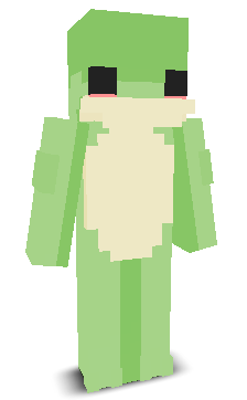 User's Minecraft appearance