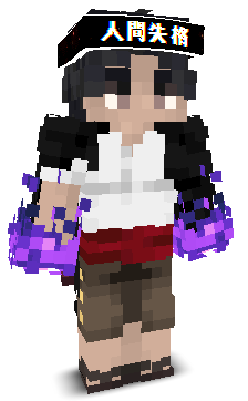 User's Minecraft appearance
