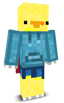 User's Minecraft appearance