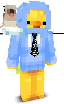 User's Minecraft appearance