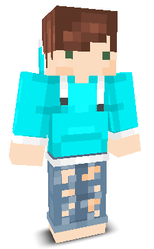 User's Minecraft appearance