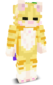 User's Minecraft appearance