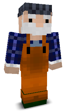 User's Minecraft appearance