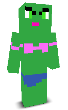 User's Minecraft appearance