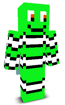 User's Minecraft appearance