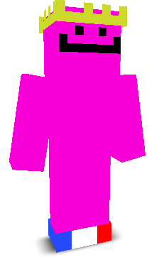 User's Minecraft appearance