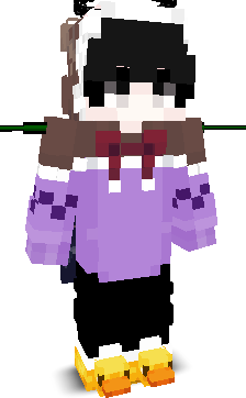 User's Minecraft appearance