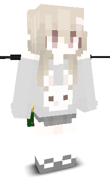 User's Minecraft appearance