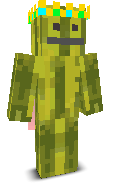 User's Minecraft appearance