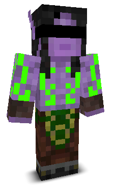 User's Minecraft appearance