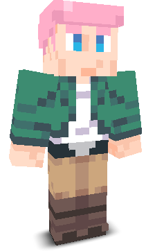 User's Minecraft appearance