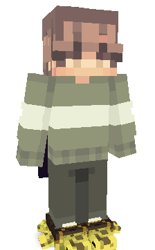 User's Minecraft appearance