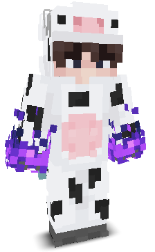 User's Minecraft appearance