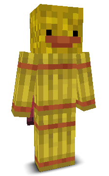 User's Minecraft appearance