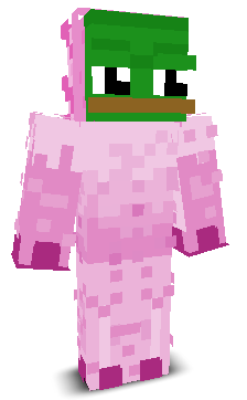 User's Minecraft appearance