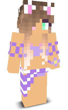User's Minecraft appearance