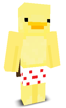 User's Minecraft appearance