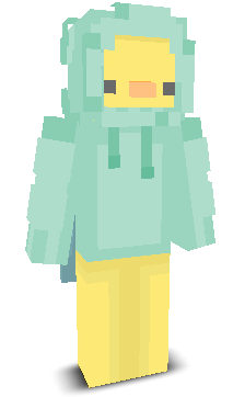 User's Minecraft appearance
