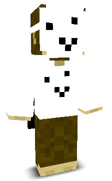 User's Minecraft appearance