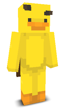 User's Minecraft appearance
