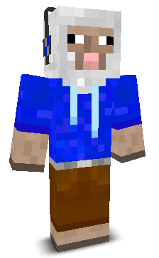 User's Minecraft appearance
