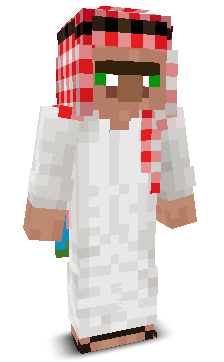 User's Minecraft appearance