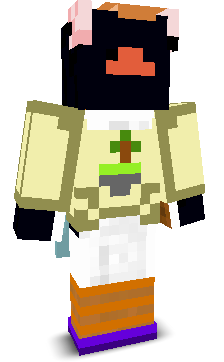 User's Minecraft appearance