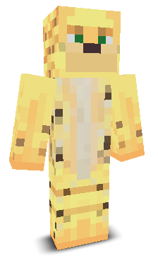 User's Minecraft appearance