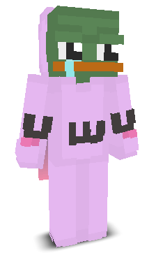 User's Minecraft appearance