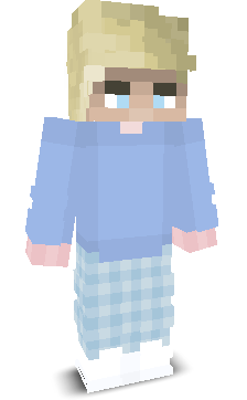User's Minecraft appearance