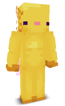 User's Minecraft appearance