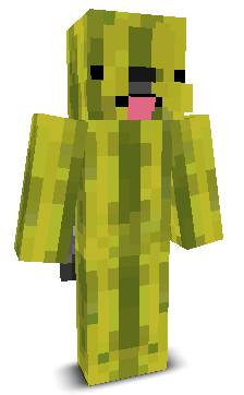 User's Minecraft appearance