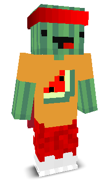 User's Minecraft appearance