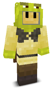 User's Minecraft appearance