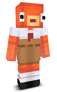 User's Minecraft appearance