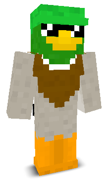 User's Minecraft appearance