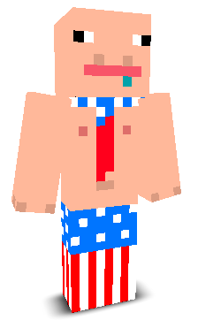 User's Minecraft appearance