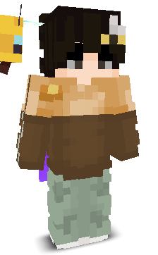 User's Minecraft appearance