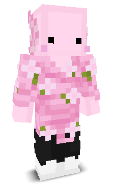 User's Minecraft appearance