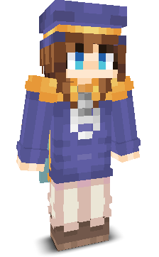 User's Minecraft appearance