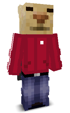 User's Minecraft appearance