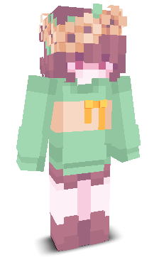 User's Minecraft appearance